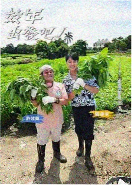 声音试验场 音乐综艺在线观看视频一区二区三区